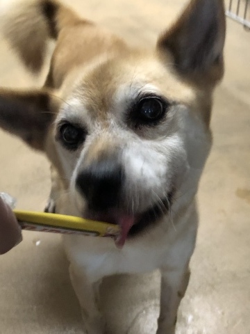 f0078320_00250153.jpeg