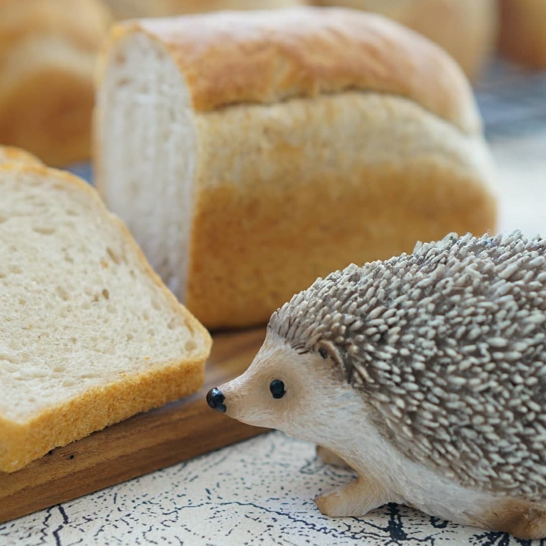 11月の食パンレッスン♪_c0226331_16314595.jpg