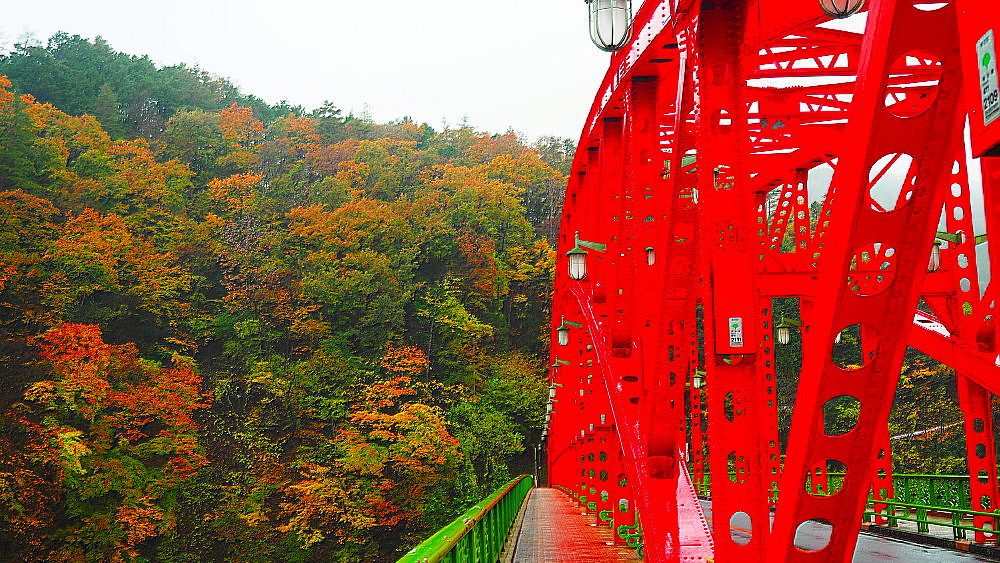 奥多摩の紅の橋_a0287533_22102639.jpg