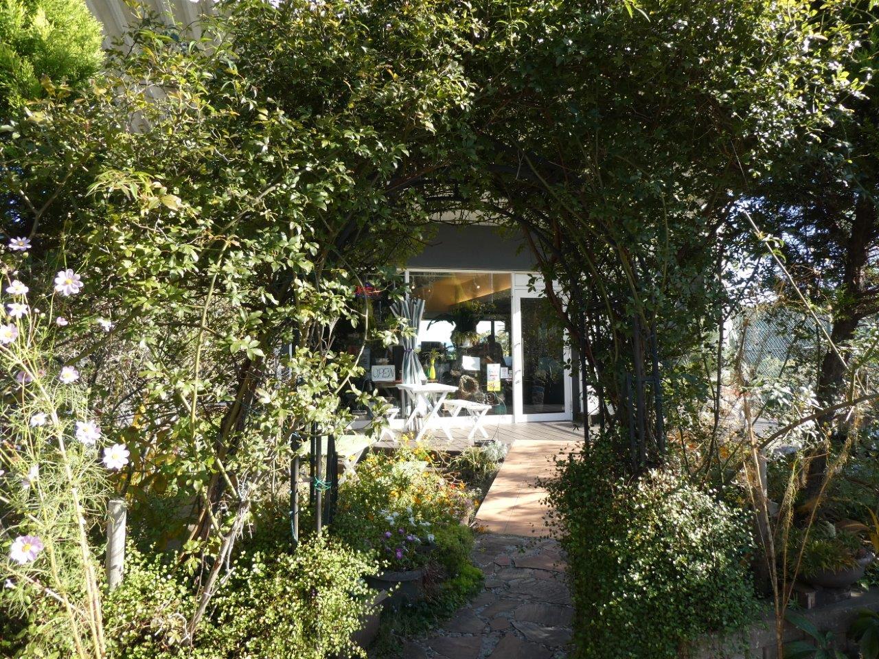 カフェ フルック （Caffe flook）　初訪問_d0106134_10141055.jpg