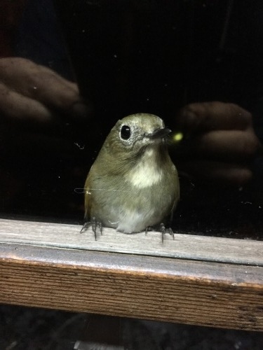 c0369344_13533675.jpeg