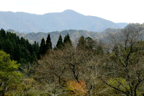 紅葉(2)_c0093046_17283272.jpg