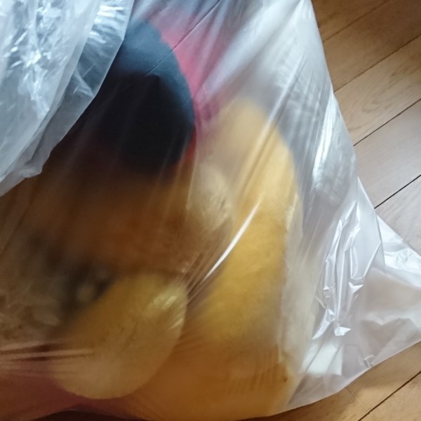 ぬいぐるみの断捨離*++ : 私の暮らし*私のおうち*2 ぬいぐるみの断捨離*++ : 私の暮らし*私のおうち*2