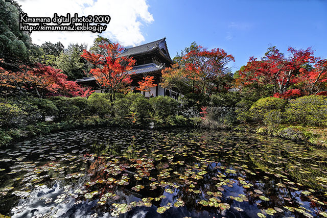 お写んぽ　宝福寺_f0324756_22332325.jpg