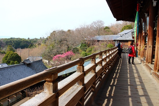 奈良の旅　興福寺と東大寺_e0351160_15500759.jpg