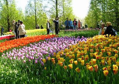 ’19,11,27(水)2007年のオランダの「キューケンホフ公園」!_f0060461_11112439.jpg