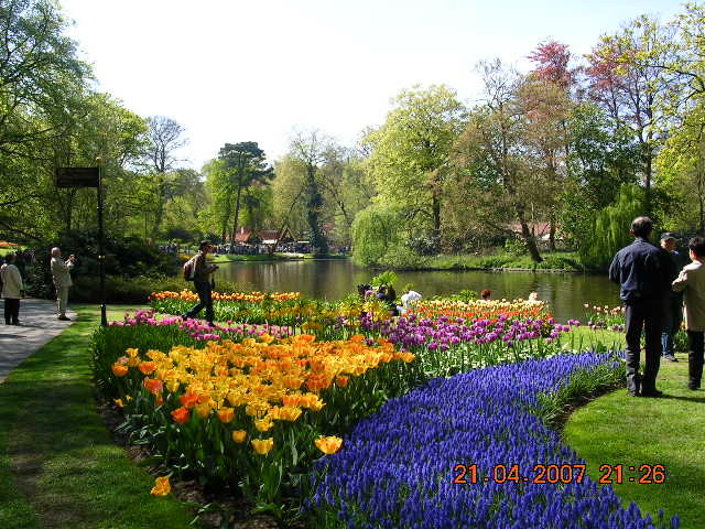 ’19,11,27(水)2007年のオランダの「キューケンホフ公園」!_f0060461_11164388.jpg