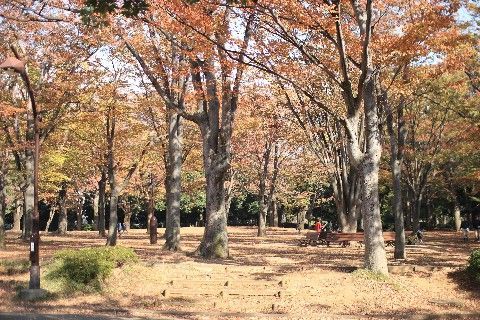おヒサです♪ ^_^;_c0090198_18591540.jpg