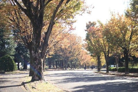 おヒサです♪ ^_^;_c0090198_19004300.jpg