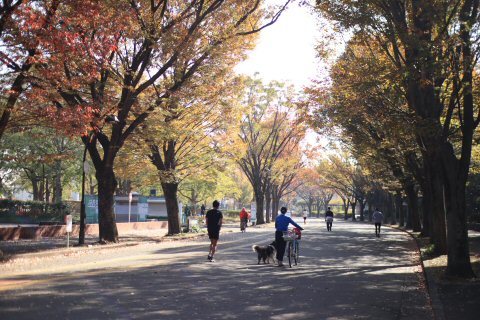 おヒサです♪ ^_^;_c0090198_19013291.jpg