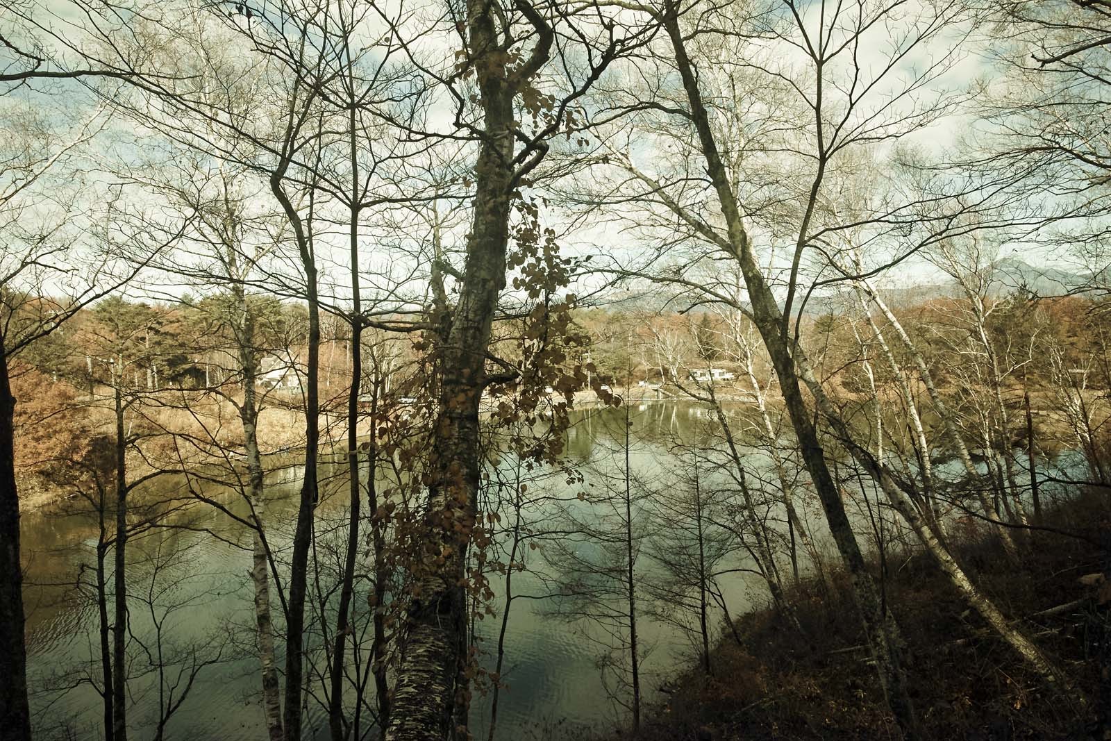 SIGMA dp Quattoroという”絵筆”_e0367501_23151810.jpg