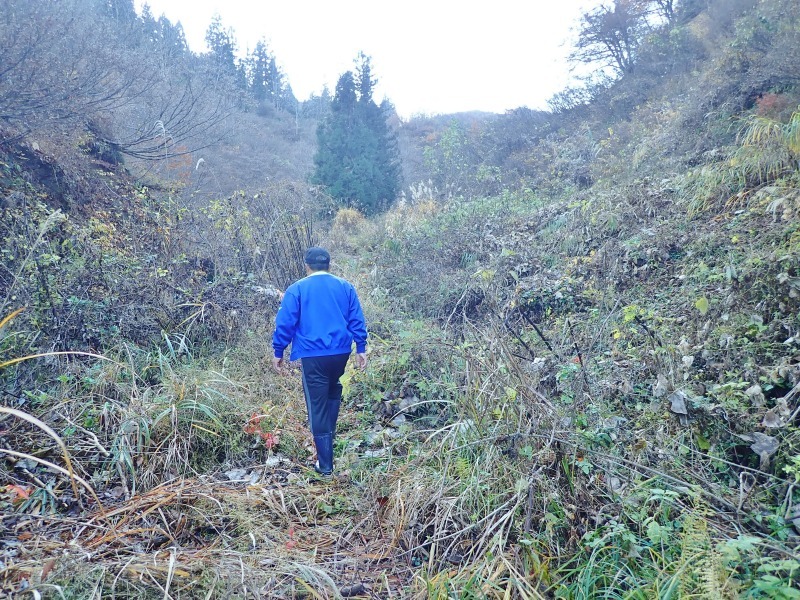 温泉井戸探しに・・・山中へ_c0336902_08052101.jpg