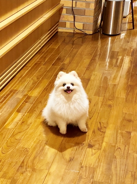 真っ暗闇_d0360206_00090546.jpg