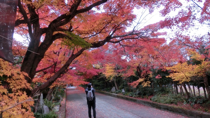 前田夕暮のあたらしさ １ 山口県総合芸術文化祭２０１９ 鈴木千登世 南の魚座 福岡短歌日乗