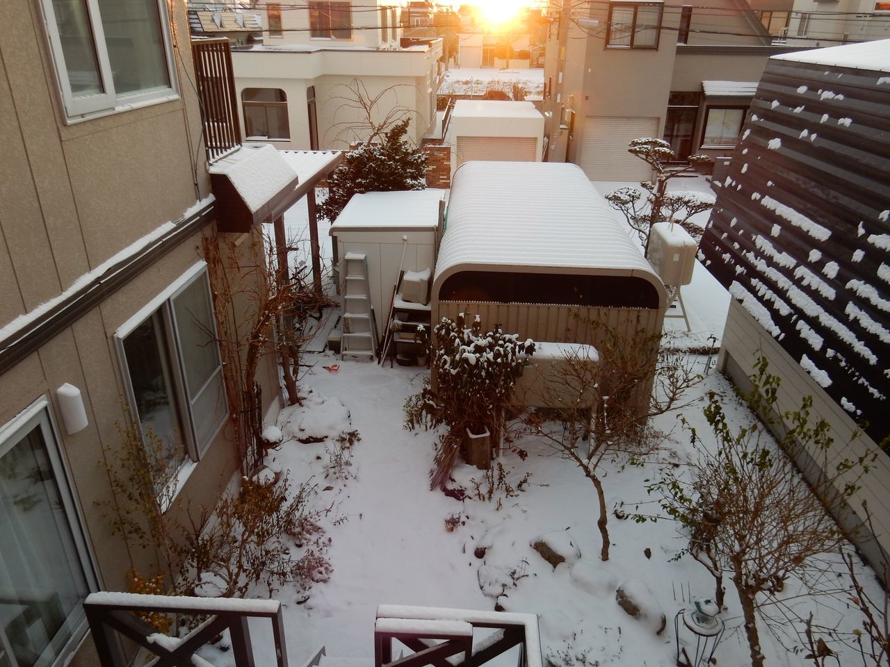 真冬日に猛吹雪がやってきた_c0025115_21353518.jpg