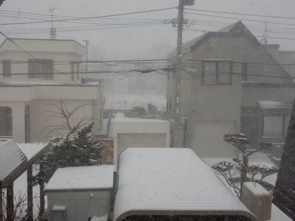 真冬日に猛吹雪がやってきた_c0025115_21411420.jpg