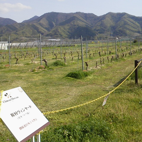 あつまりワイン会_d0014133_10161670.jpg