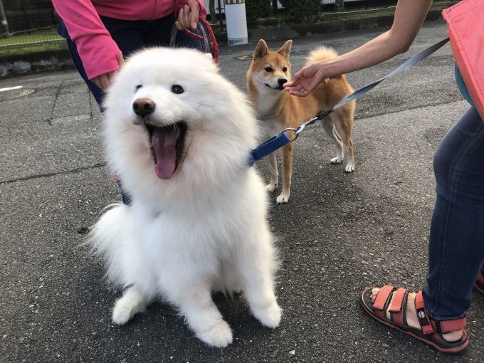 2019年10月前半 インスタ写真集 その2_f0128542_14013821.jpg