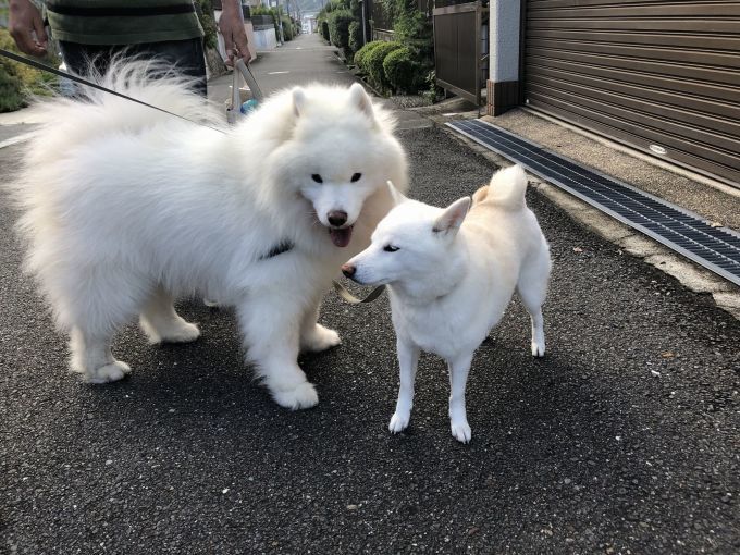 2019年10月前半 インスタ写真集 その2_f0128542_14032486.jpg