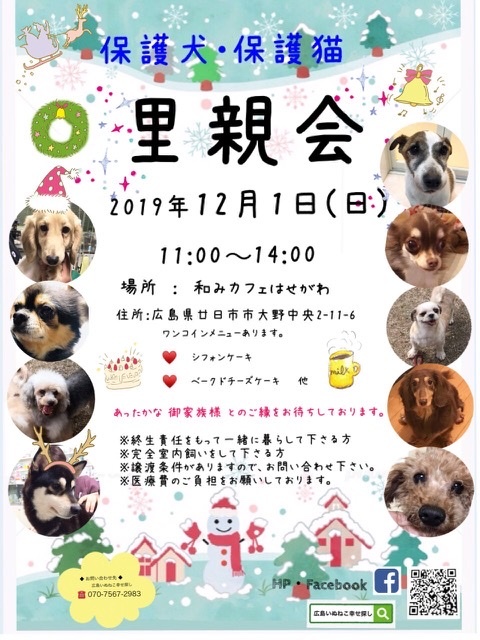 11月28日〜30日の予定と 里親会のお知らせ&#128054;_c0134645_02514578.jpeg