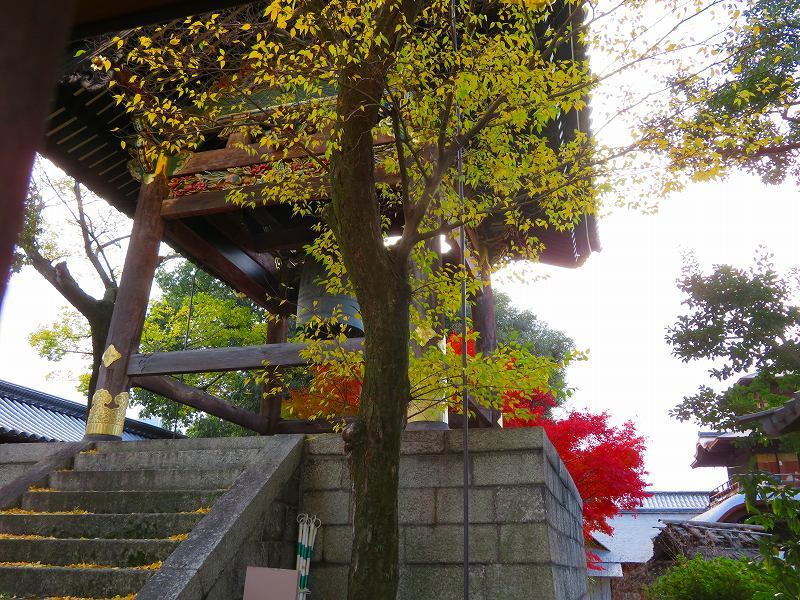 西本願寺「飛雲閣と鐘楼」20191126_e0237645_17063920.jpg