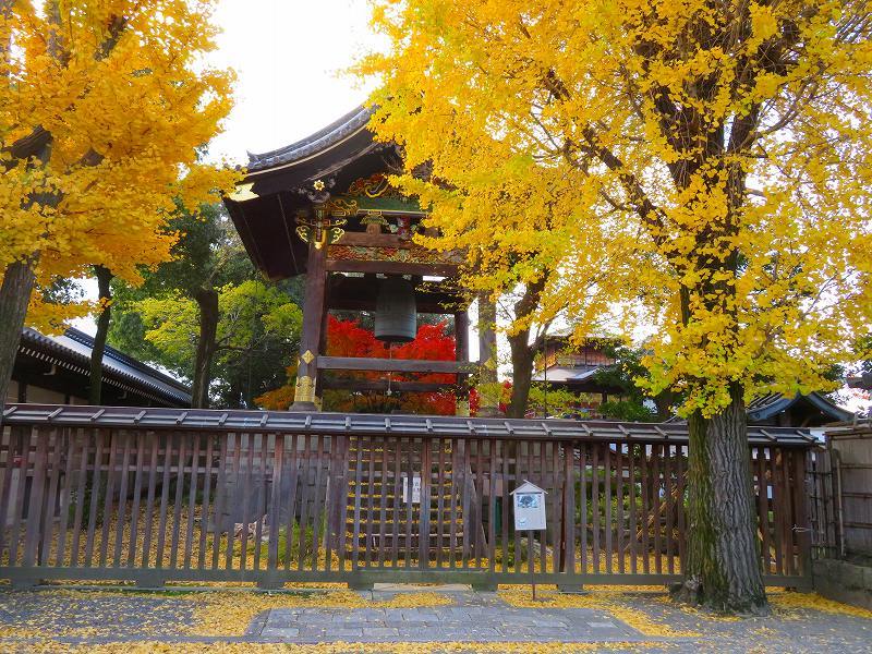 西本願寺「飛雲閣と鐘楼」20191126_e0237645_17063928.jpg