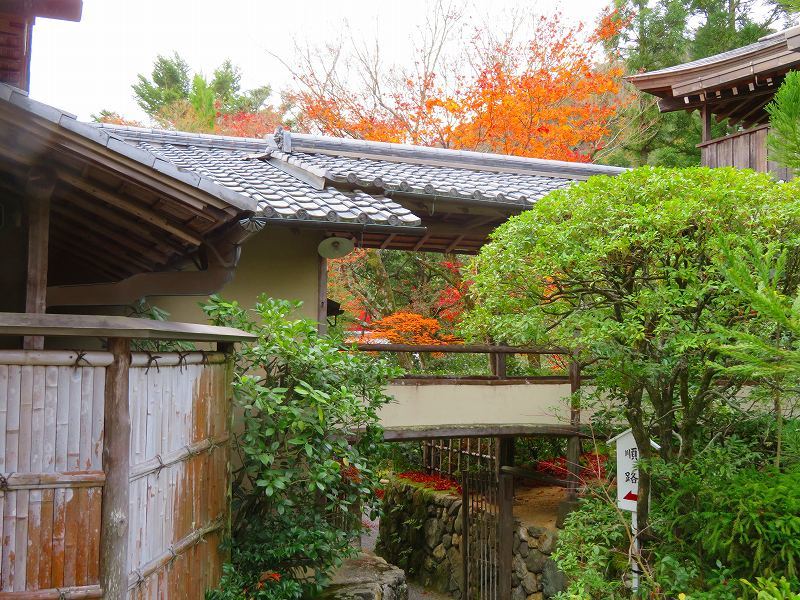 鷹峯「光悦寺庭園の紅葉」20191126_e0237645_17182524.jpg