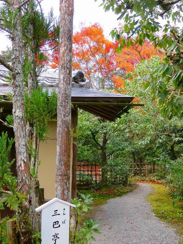 鷹峯「光悦寺庭園の紅葉」20191126_e0237645_17182556.jpg