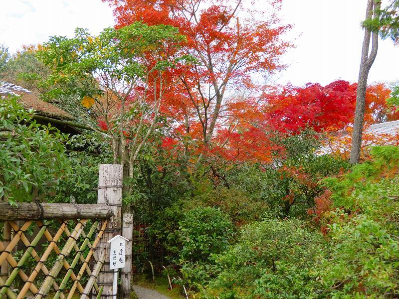 鷹峯「光悦寺庭園の紅葉」20191126_e0237645_17182557.jpg