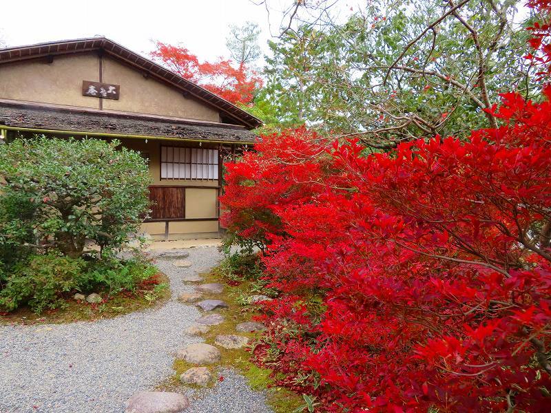 鷹峯「光悦寺庭園の紅葉」20191126_e0237645_17191371.jpg