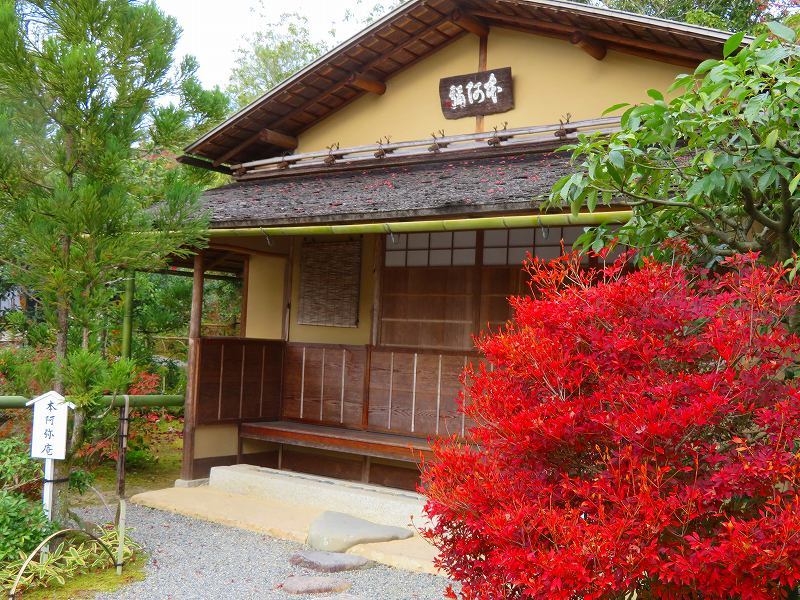 鷹峯「光悦寺庭園の紅葉」20191126_e0237645_17201818.jpg