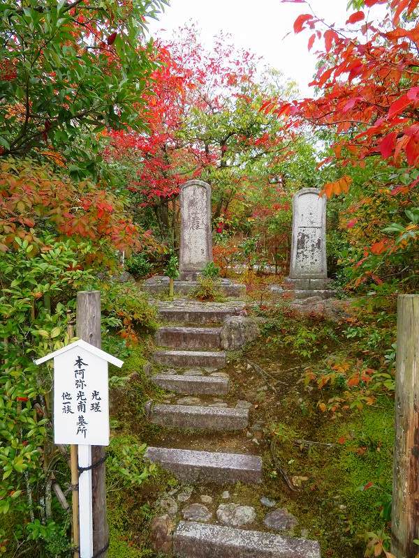 鷹峯「光悦寺庭園の紅葉」20191126_e0237645_17201819.jpg