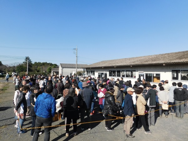 茨城県立農業大学校学園祭 茨農祭 成功 ありがとうございました 茨農祭実行委員長 竹内駿 農大ブログ 茨城県立農業大学校学園祭 茨農祭 成功 ありがとうございました 茨農祭実行委員長 竹内駿 農大ブログ