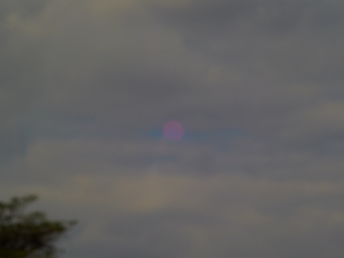 引き続きSP90_e0097970_23155610.jpg