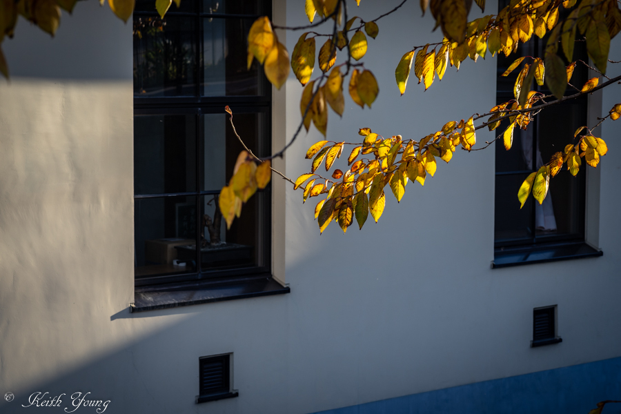 Autumn light_e0338273_20051297.jpg