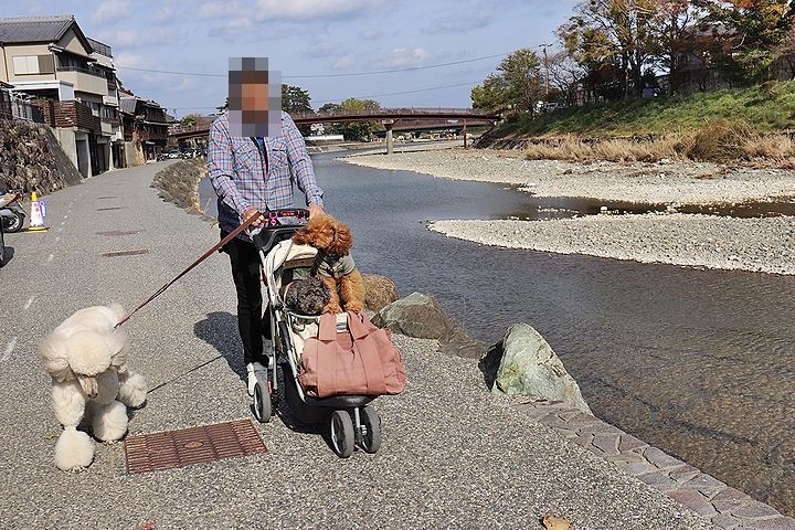 念願の「浜与」さんのしらす丼【旅行9】_b0111376_17502877.jpg