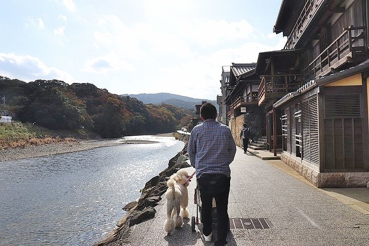 念願の「浜与」さんのしらす丼【旅行9】_b0111376_17510858.jpg