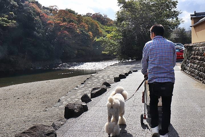 念願の「浜与」さんのしらす丼【旅行9】_b0111376_17512750.jpg