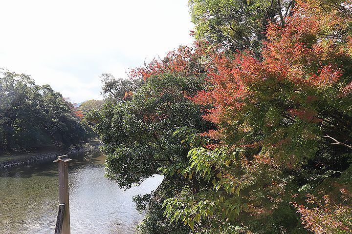 念願の「浜与」さんのしらす丼【旅行9】_b0111376_17520113.jpg
