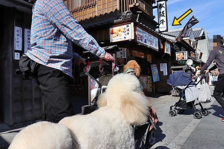 念願の「浜与」さんのしらす丼【旅行9】_b0111376_18024161.jpg