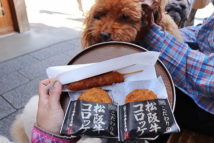 念願の「浜与」さんのしらす丼【旅行9】_b0111376_18032847.jpg