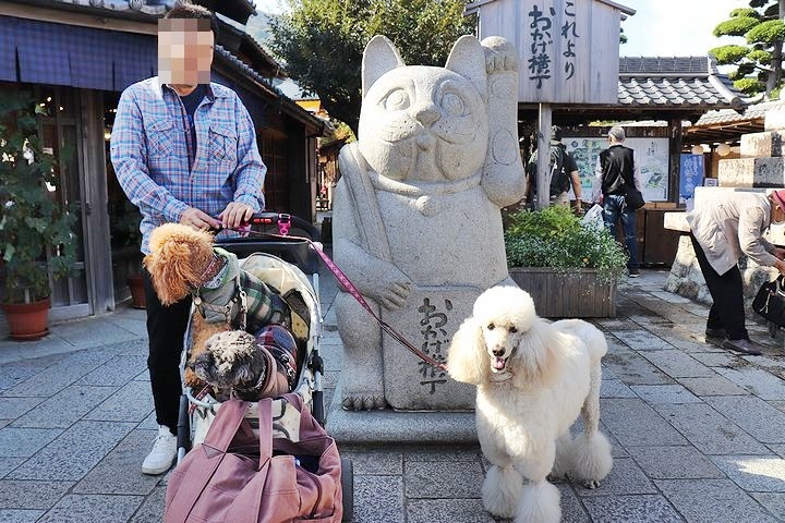 念願の「浜与」さんのしらす丼【旅行9】_b0111376_18092600.jpg