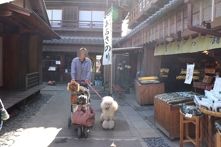 念願の「浜与」さんのしらす丼【旅行9】_b0111376_18095579.jpg
