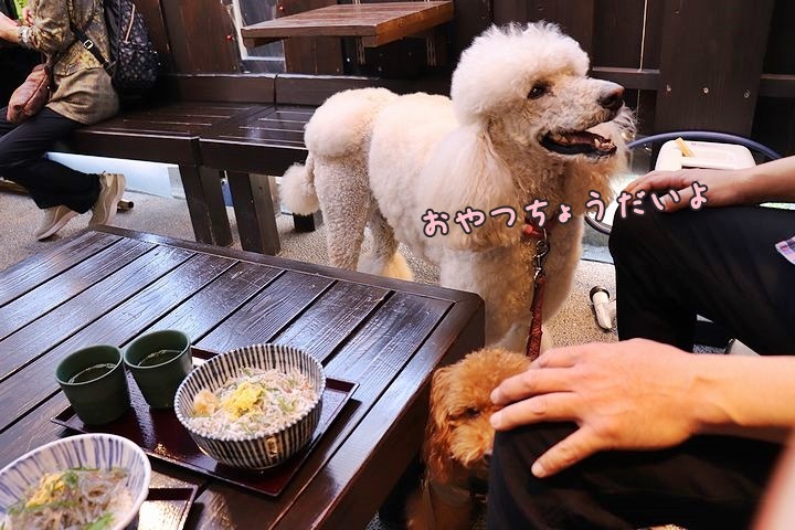 念願の「浜与」さんのしらす丼【旅行9】_b0111376_18251341.jpg