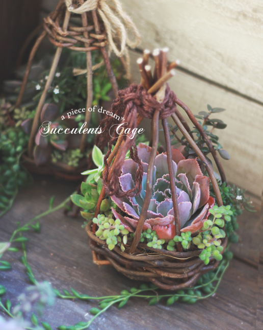 簡単DIY!100円リースで木の実の「手のひらツリー」を作ってみよう【hanaの植物あそび~vol.10~】_b0160880_08154855.jpg