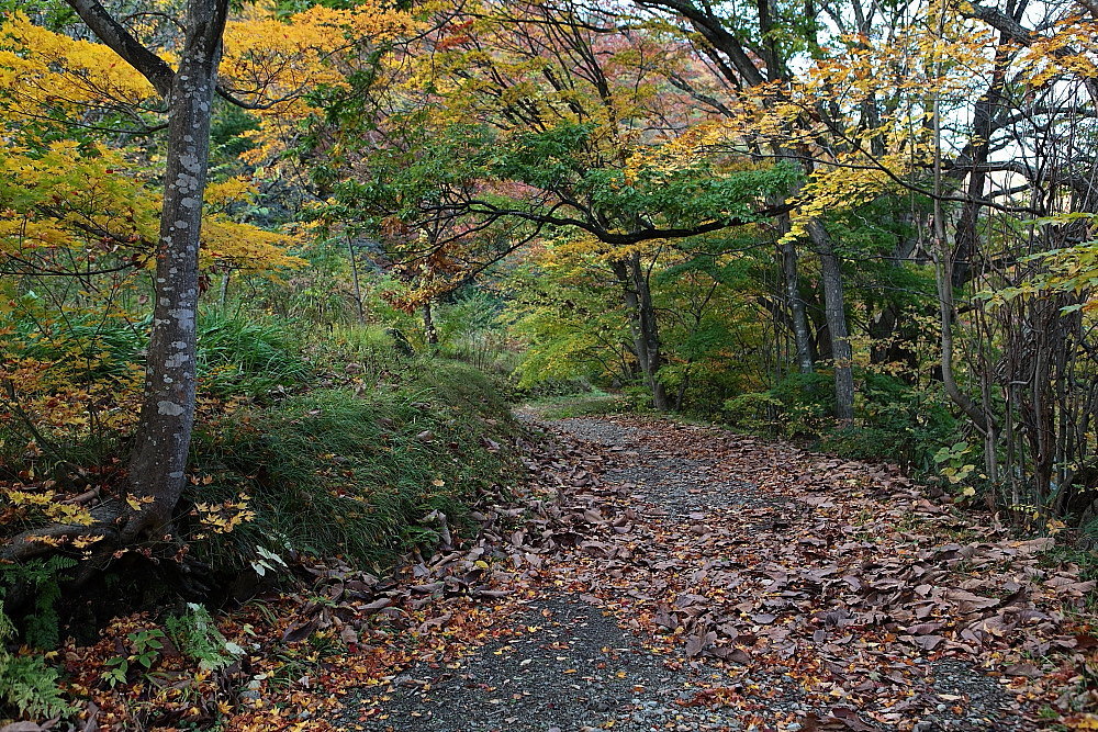 鹿角市　湯瀬渓谷の紅葉　その１_e0165983_16320925.jpg