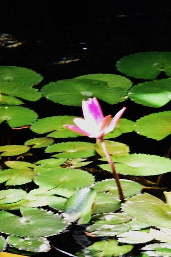 b0329186_07390275.jpg