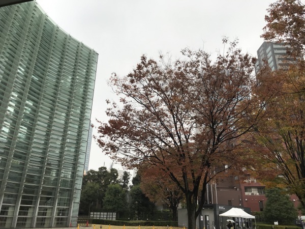美術館へ雨寒の凍える日の服装と乃木坂ランチ_e0397389_15083283.jpeg