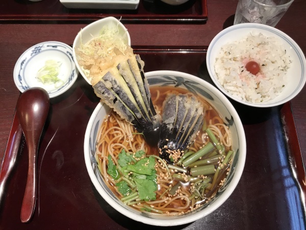 美術館へ雨寒の凍える日の服装と乃木坂ランチ_e0397389_15120758.jpeg