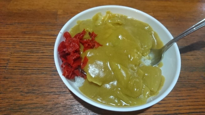 ビバ新発田市!!ぜひ蕗谷虹児記念館へ!_e0046190_17282649.jpg